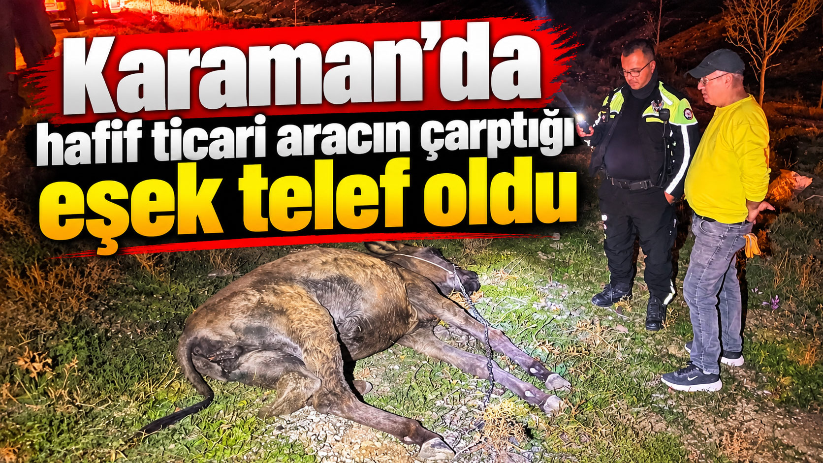  Karaman'da hafif ticari aracın çarptığı eşek telef oldu